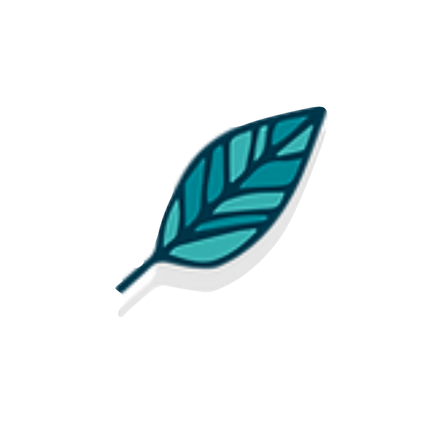 BAUM